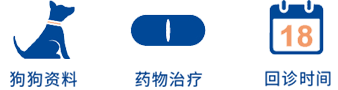 制定详细的治疗计划有助于您狗狗的生命延续