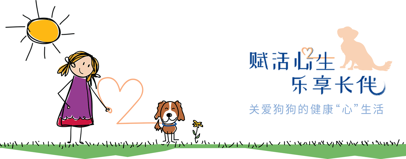 赋活心生，乐享长伴，关爱狗狗的健康“心”生活