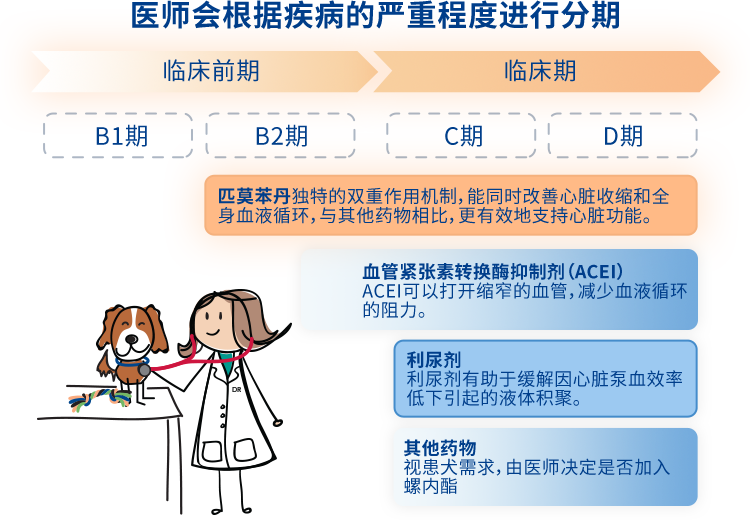 不同时期的建议