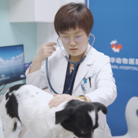 小花体检记